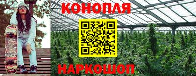 крисы Волжск