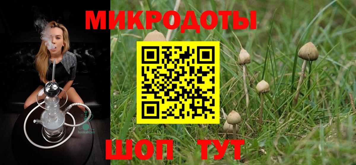 Псилоцибиновые грибы MAGIC MUSHROOMS  Вход с VPN  Галлюциногенные грибы Cubensis  Мурино 